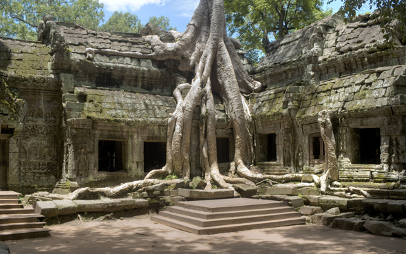 Templo Ta Prohm en Angkor Vat